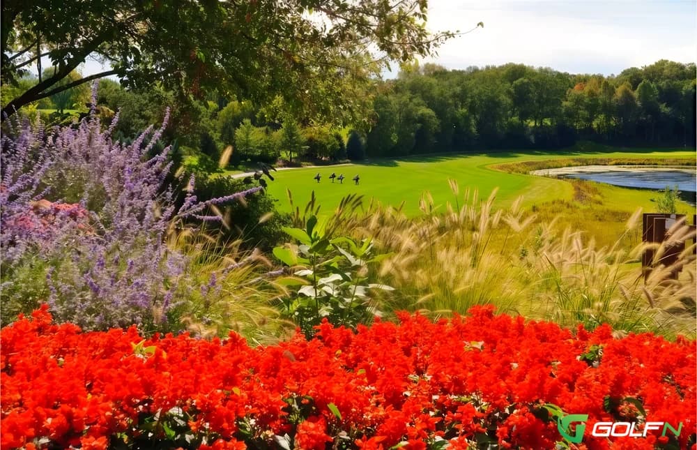 The Royal Club in Lake Elmo, Minnesota — private, 18-hole golf course, designed by Don Herfort