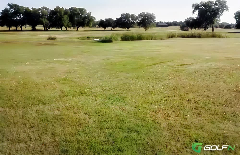 Granbury Country Club in Granbury, Texas — semi-private, 18-hole golf course, designed by Leon Howard (1971)