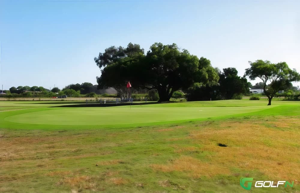 The Landings Golf Club in Clearwater, Florida — public, 18-hole golf course