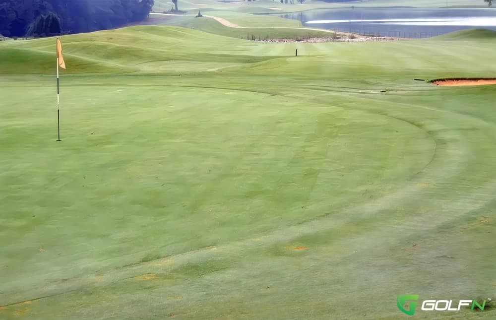 Holly Ridge Golf Links in Archdale, North Carolina — public, 18-hole golf course, designed by Jim Bivins (1994)