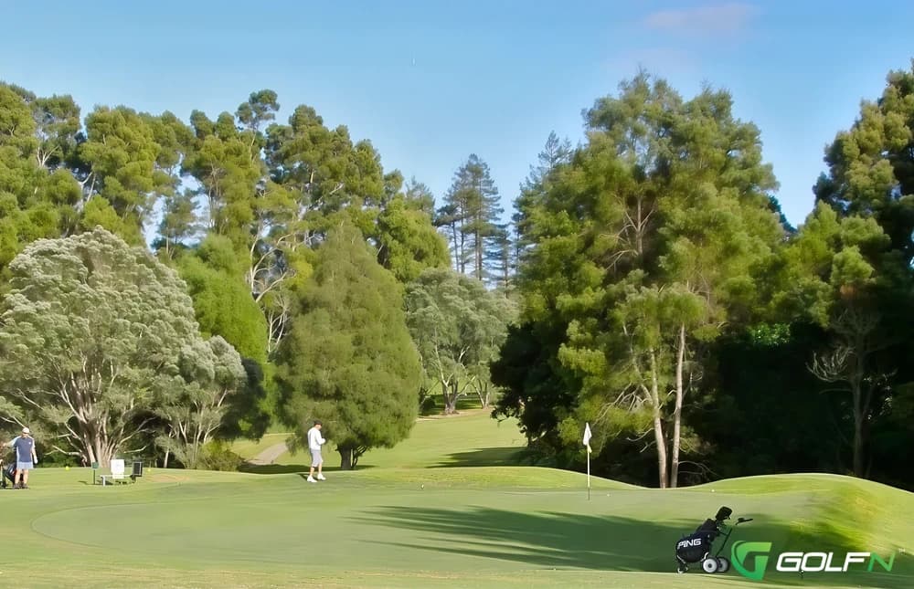 Northland Golf Club in Whangarei, Northland β semi-private, 18-hole golf course