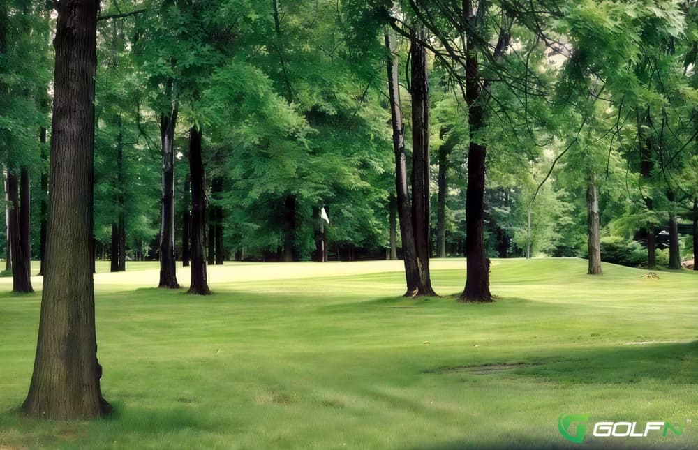 Walk In The Park - Emerald Woods Golf Course in Columbia Station, Ohio — public, 9-hole golf course, designed by Richard McClain