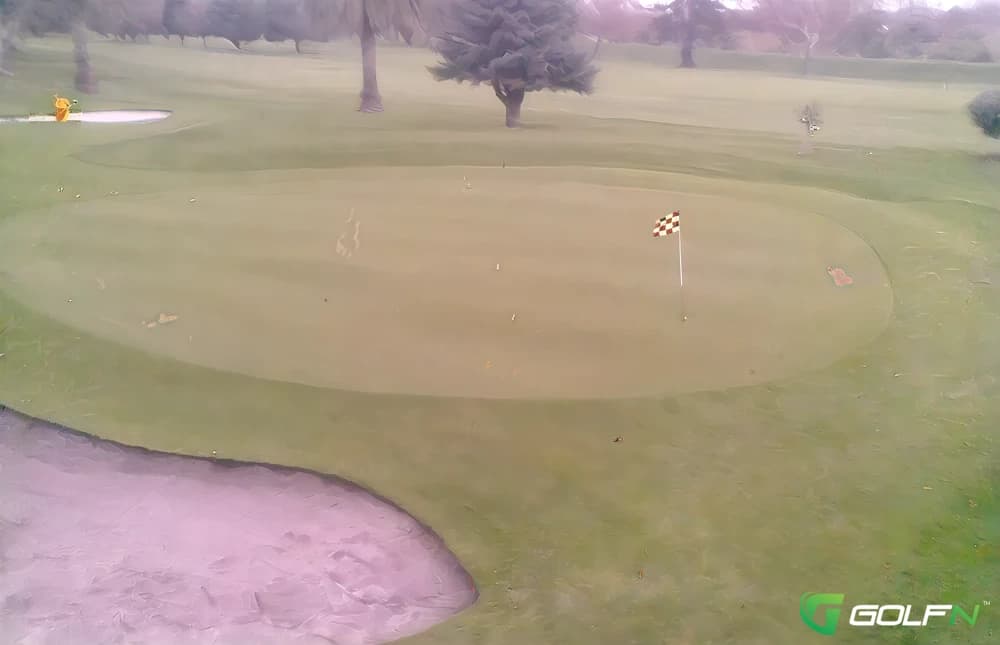 Feilding Golf Club in Feilding, Manawatu-Wanganui β semi-private, 18-hole golf course
