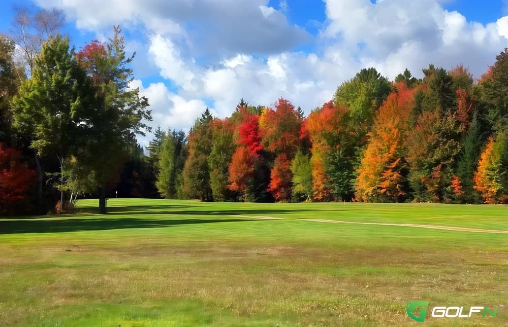 Tanglewood Marsh Golf Course in Sault Sainte Marie, Michigan — public, 18-hole golf course, designed by Jack Specker