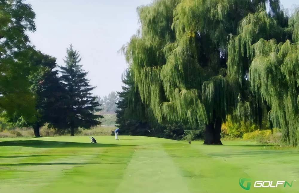 Markham Executive Golf Course in Markham, Ontario — 18-hole golf course