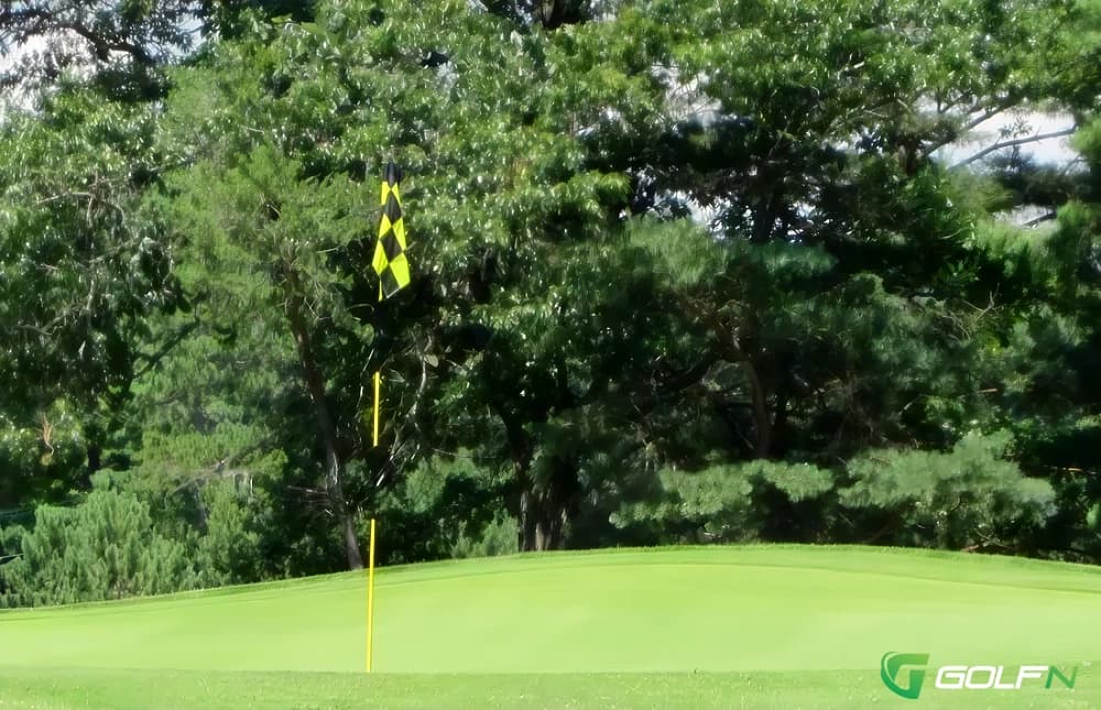 East - Chicago Heights Park District Golf Course in Chicago Heights, Illinois — public, 9-hole golf course