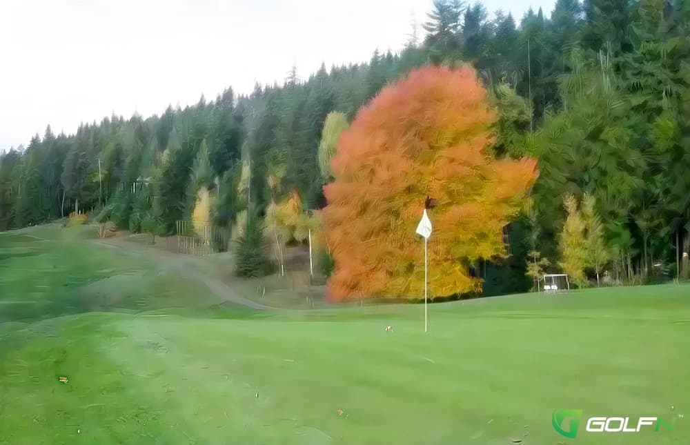 Anglemont Estates Golf Club in  Anglemont, British Columbia — public, 9-hole golf course