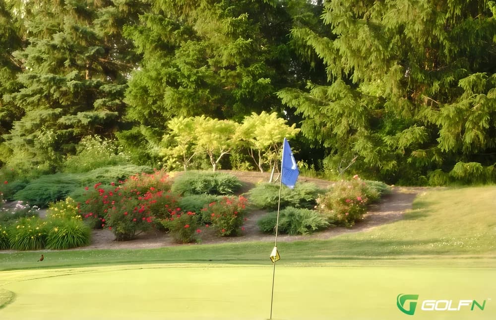 Gold - Bob O Link Golf Course in Avon, Ohio — public, 36-hole golf course