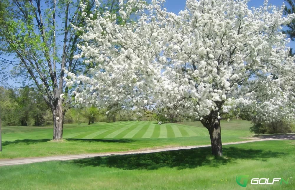 Edgewater Country Club in Tomahawk, Wisconsin — public, 9-hole golf course