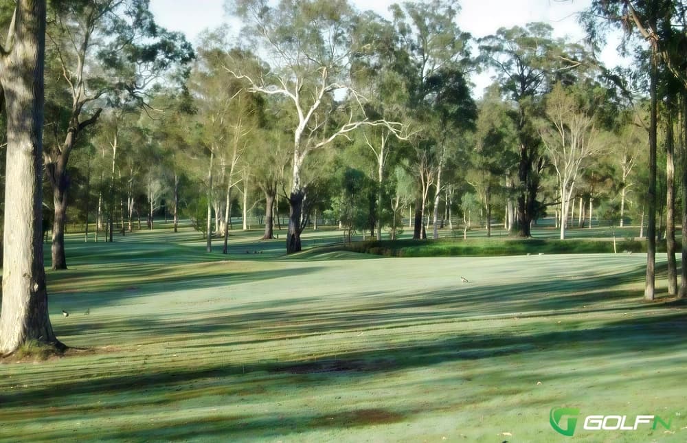 Paterson Golf Club in Paterson, New South Wales β public, 18-hole golf course
