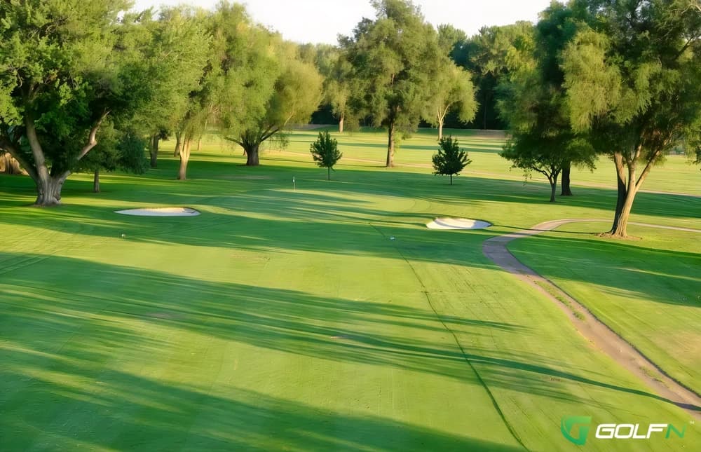 Ditches - Brickyard Plantation Golf Club in Americus, Georgia — semi-private, 27-hole golf course, designed by H. Chandler Egan (1917)