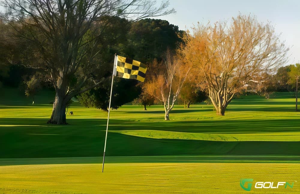 Otumoetai Golf Club in Otumoetai Bureta, Bay of Plenty — public, 18-hole golf course