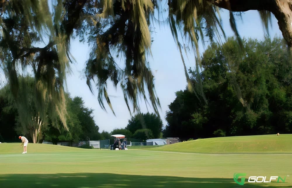 Silver Lake Par 3 in Brooklyn, Michigan — public, 9-hole golf course