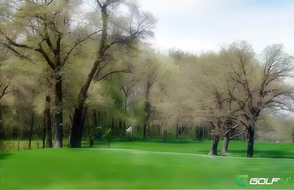 Aliceville Country Club in Aliceville, Alabama — 18-hole golf course