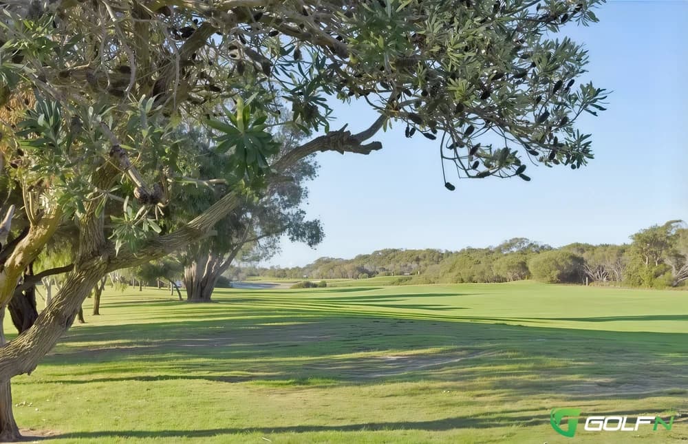 Hawks Nest Golf Club in Hawks Nest, New South Wales — public, 18-hole golf course