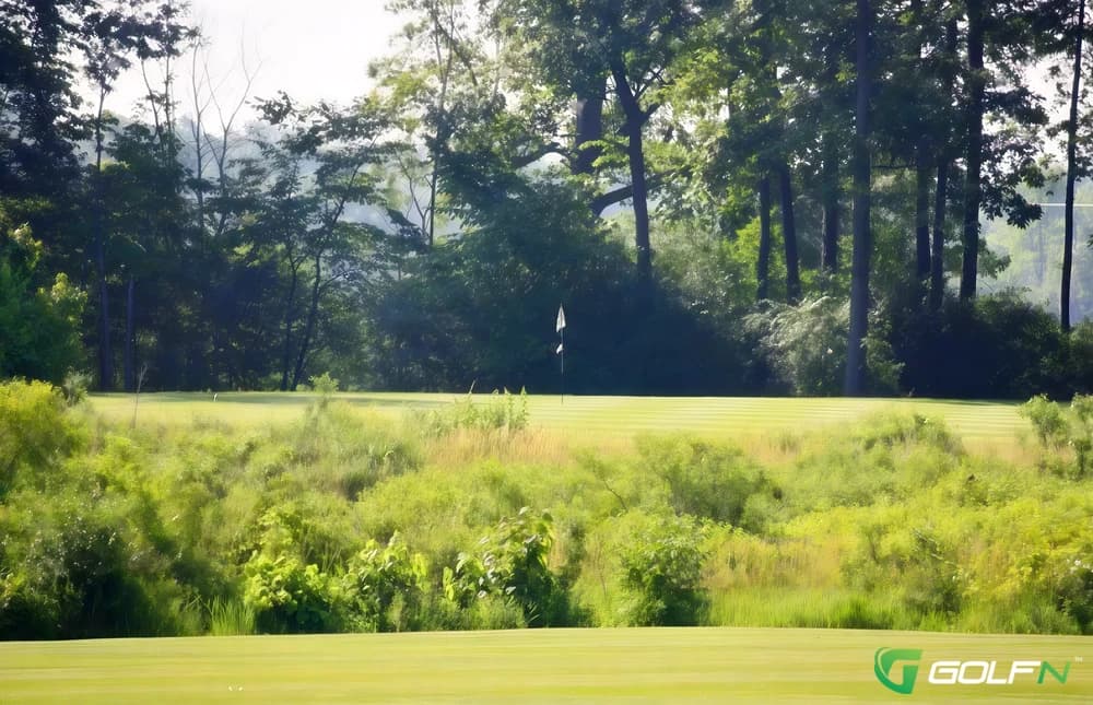 Lake Forest Golf Club in Ann Arbor, Michigan — public, 18-hole golf course, designed by Golf Services Group