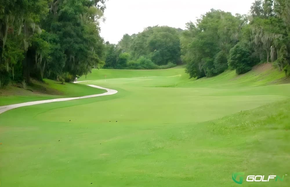Alligator - Sanlan Rv & Golf Resort in Lakeland, Florida — public, 9-hole golf course