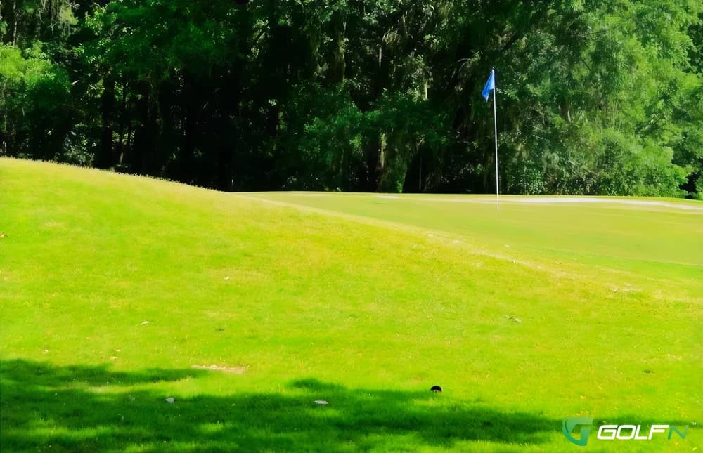 Suwannee Country Club in Live Oak, Florida — semi-private, 9-hole golf course