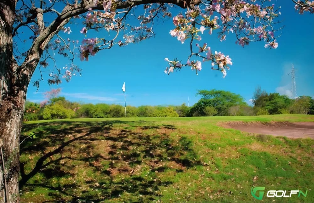Gold Country Club ~ Master Right in Yongin-si , Gyeonggido β private, 18-hole golf course