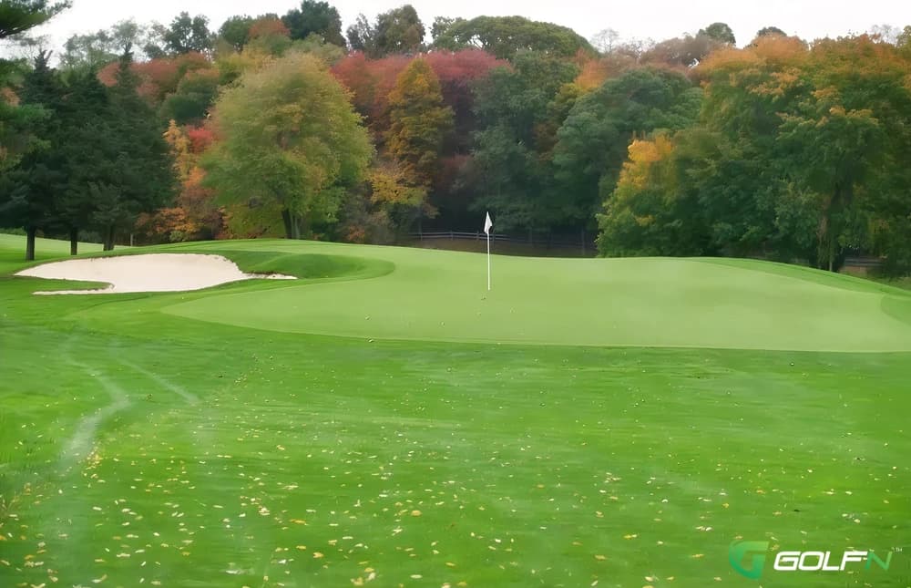 Sandpiper - Spring Lake Golf Club in Middle Island, New York — public, 9-hole golf course