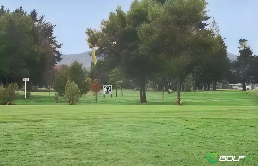 Gisborne Park Golf Club in Gisborne, Gisborne β semi-private, 18-hole golf course