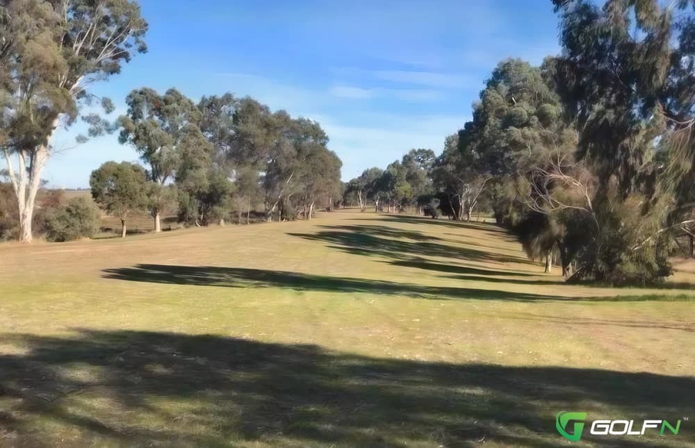 Coonalpyn Golf Club in Coonalpyn, South Australia β semi-private, 18-hole golf course