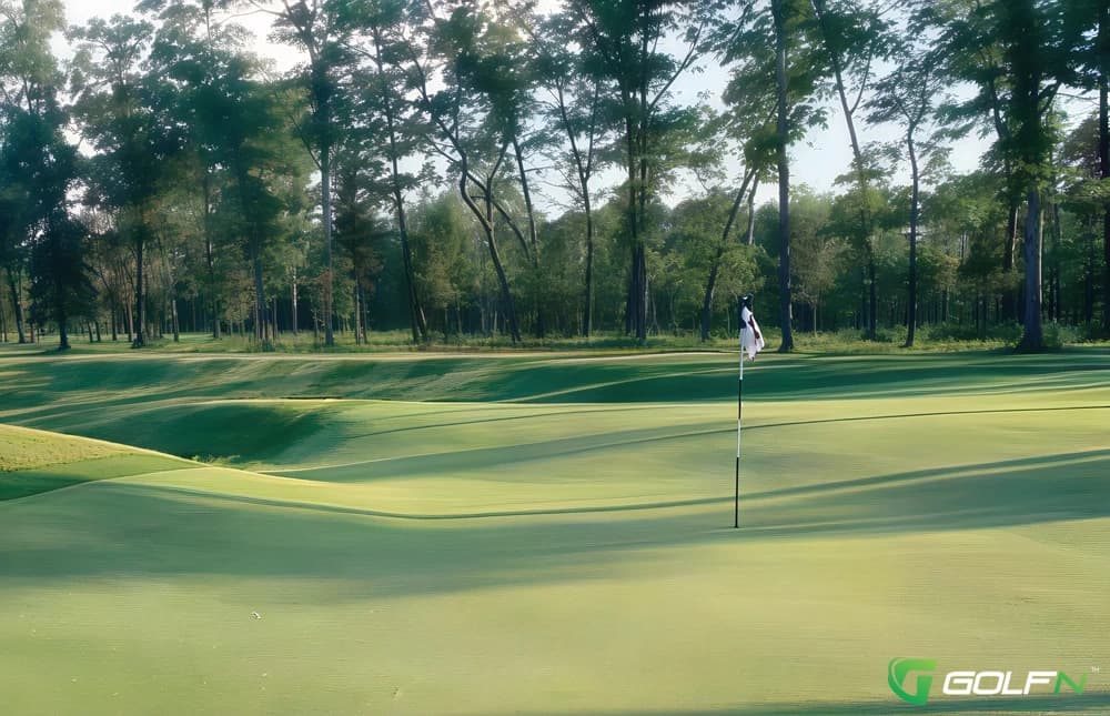 Serradella - Lakewood Shores Resort in Oscoda, Michigan — resort, 18-hole golf course, designed by Kevin Aldridge