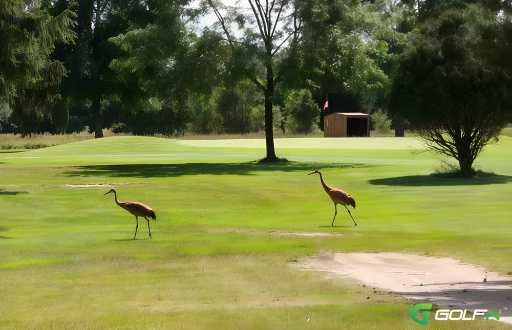 St. Joe Valley Golf Club in Sturgis, Michigan — public, 18-hole golf course, designed by Windell Persons