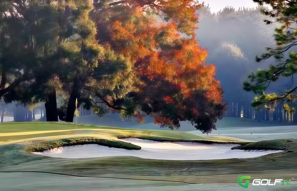 Marshwood - Rtj Golf Trail At Highland Oaks in Dothan, Alabama — public, 36-hole golf course, designed by Robert Trent Jones, Sr. (1993)