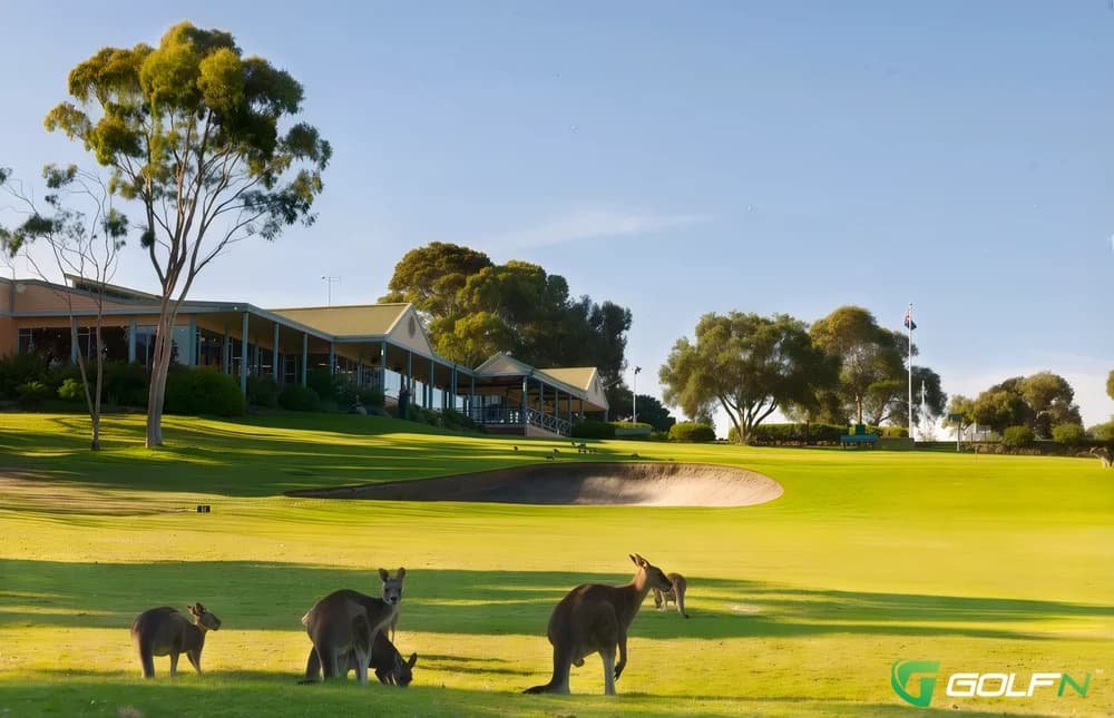 Anglesea Golf Club in Anglesea, Victoria β semi-private, 18-hole golf course, designed by Bob Shearer