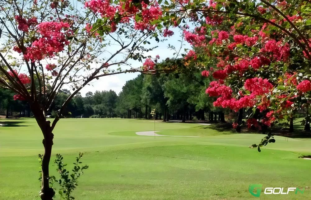 Quail Creek Golf Course in Fairhope, Alabama — public, 18-hole golf course, designed by Barney Shull