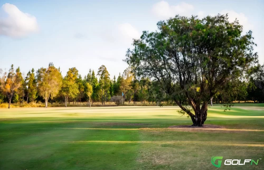 Beerwah Golf Club in Beerwah, Queensland β public, 18-hole golf course, designed by Brian Bird (2023)