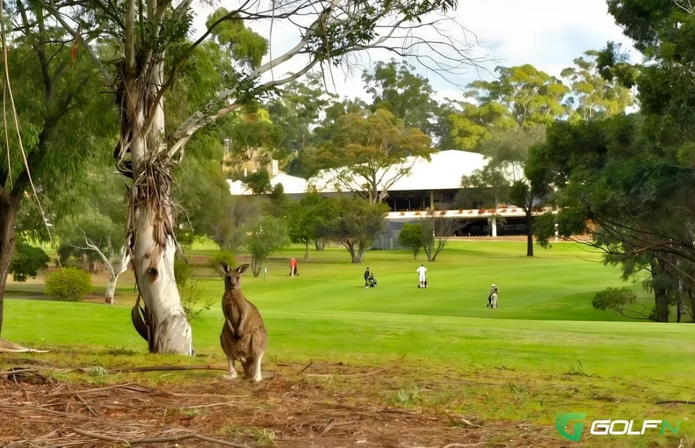 Course Two 10-27 - Pambula Merimbula Golf Club in Pambula, New South Wales β public, 18-hole golf course