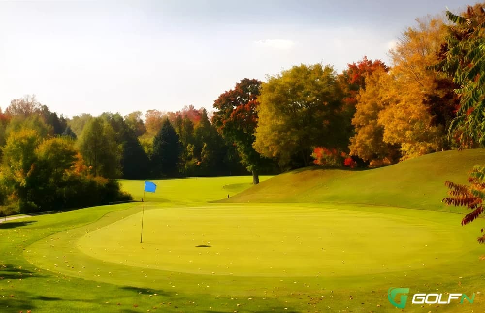 Markham Green Golf Club in Markham, Ontario — public, 9-hole golf course