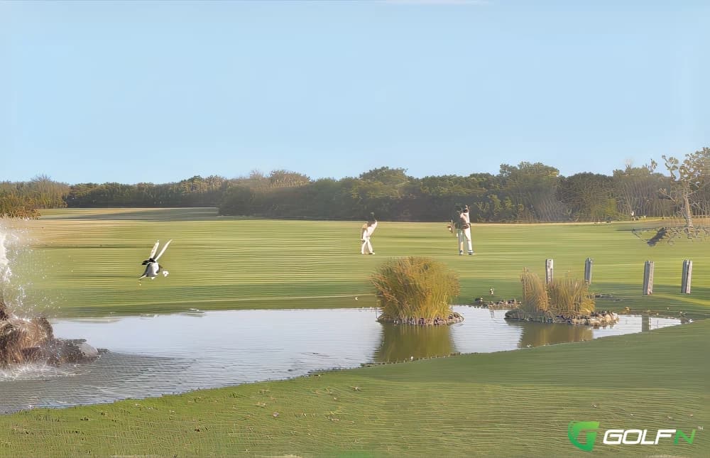 Condobolin Golf Club in Condobolin, New South Wales β public, 18-hole golf course