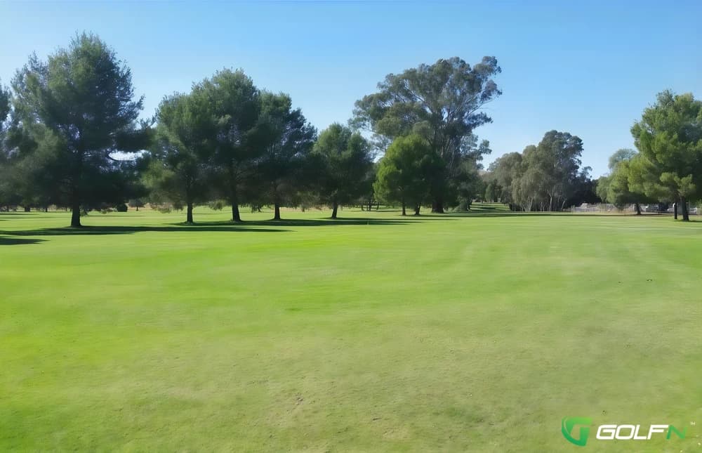 Canowindra Golf Club in Canowindra, New South Wales β public, 18-hole golf course