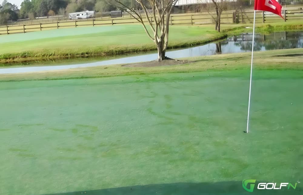 Palm Valley Golf Club in Ponte Vedra Beach, Florida — public, 9-hole golf course, designed by Jack Hord