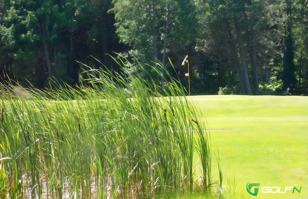Landings Of Willow Creek Golf Course in Barrie, Ontario — semi-private, 9-hole golf course