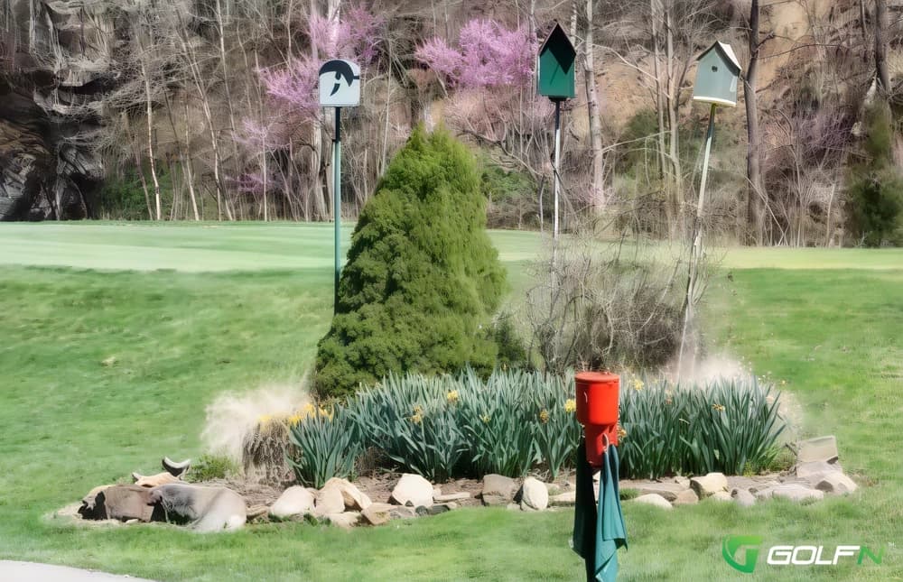 Brunswick Country Club in Lawrenceville, Virginia — private, 9-hole golf course