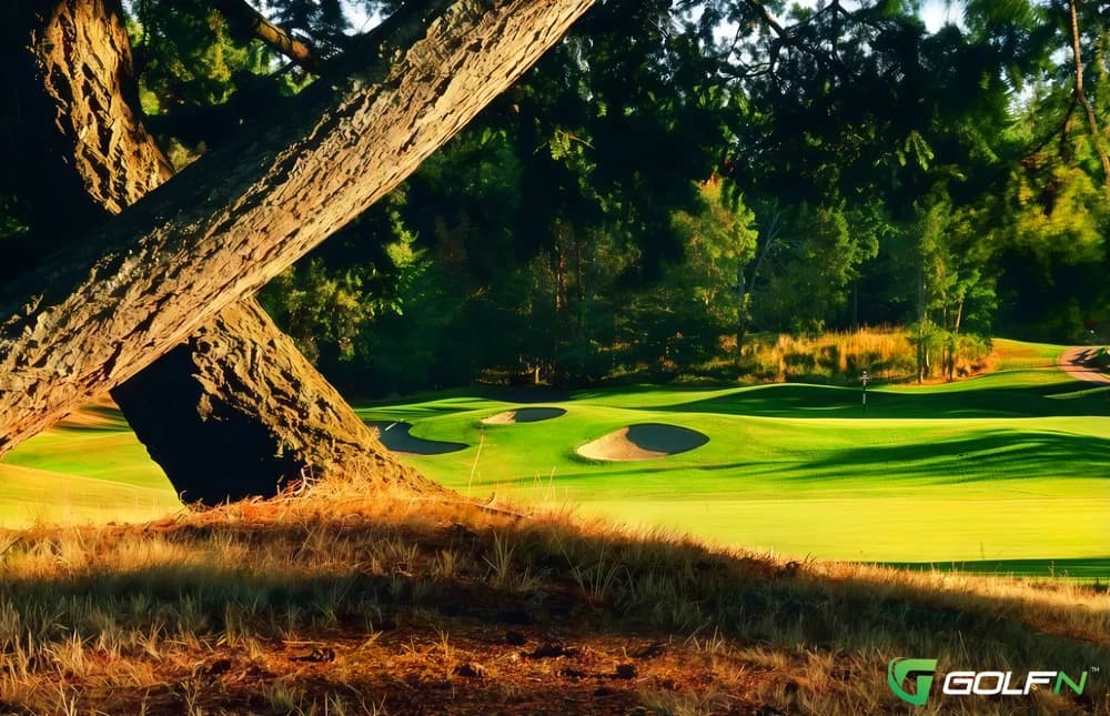 Fairwinds Golf Club in Nanoose Bay, British Columbia — public, 18-hole golf course, designed by Les Furber Design (1983)