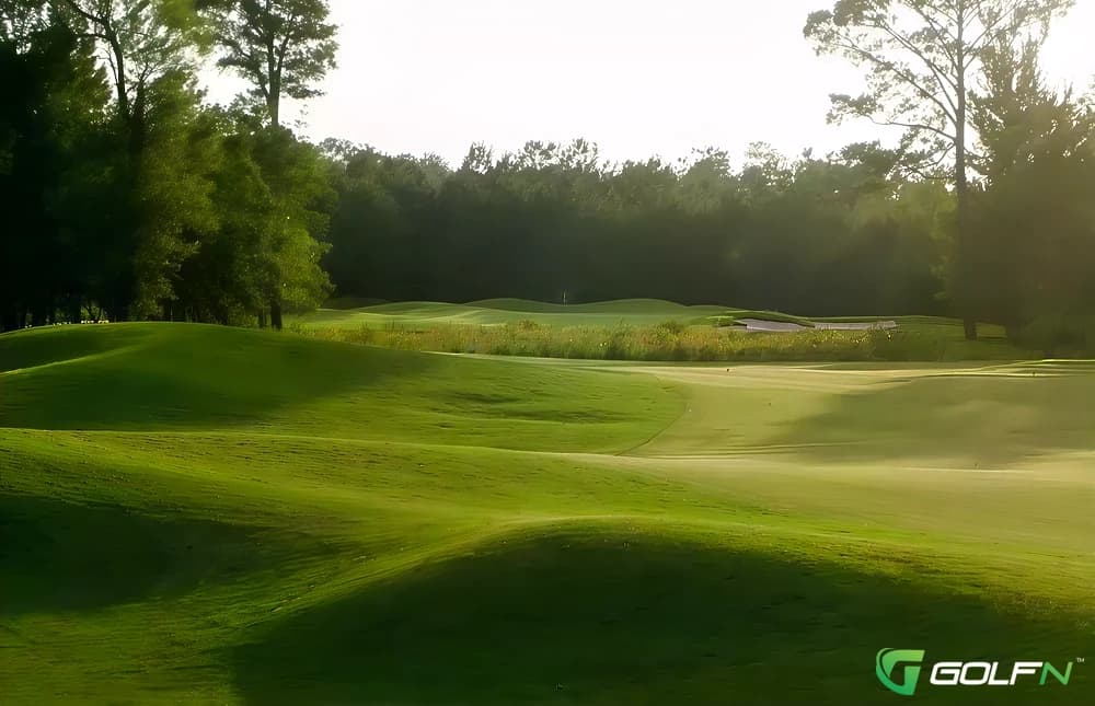 Cameron - Thistle Golf Club in Sunset Beach, North Carolina — public, 27-hole golf course, designed by Tim Cate (1999)