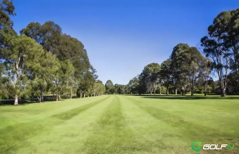 Tally Valley Golf Club in Elanora, Queensland β semi-private, 18-hole golf course