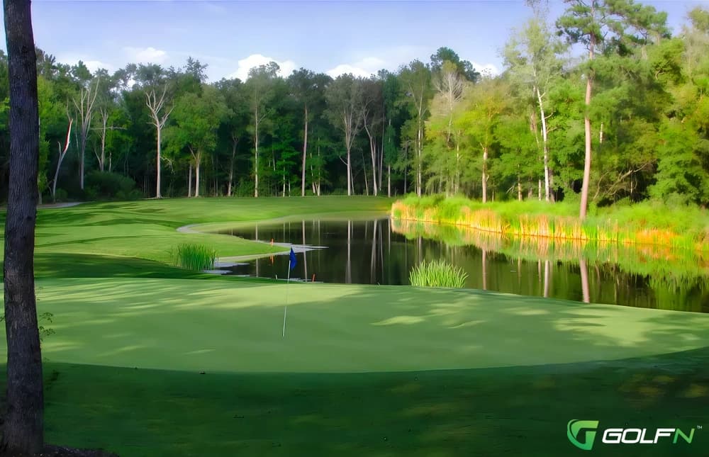 Oak Forest - Golf Club At Wescott Plantation in Summerville, South Carolina — public, 27-hole golf course, designed by Dr. Michael Hurdzan (2000)