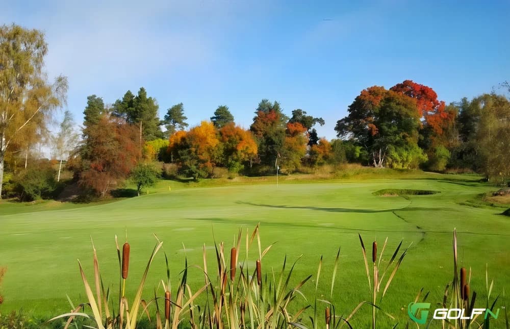 The Pat - West Beach Parks Golf in West Beach , Australian Capital Territory β public, 18-hole golf course