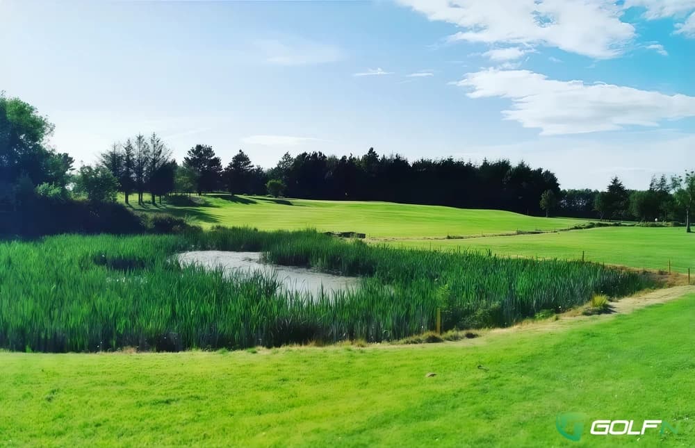 Kilrush Golf Club in Kilrush, Clare — public, 18-hole golf course, designed by Arthur Spring (1994)