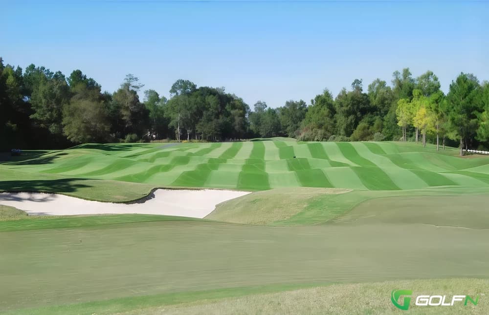 Crowfield Golf Club in Goose Creek, South Carolina — semi-private, 18-hole golf course, designed by Bob Spence