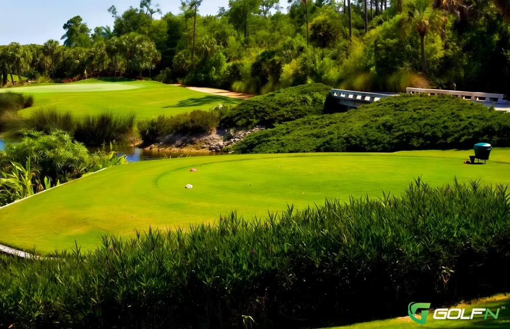 Estuary - Grey Oaks Golf & Country Club in Naples, Florida — private, 18-hole golf course, designed by Lloyd Clifton