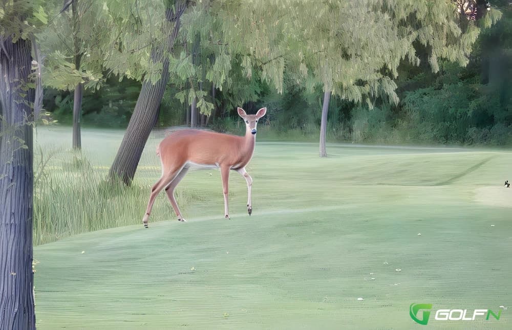 Heritage Woods Golf Course in Niagara-on-the-Lake, Ontario — semi-private, 11-hole golf course