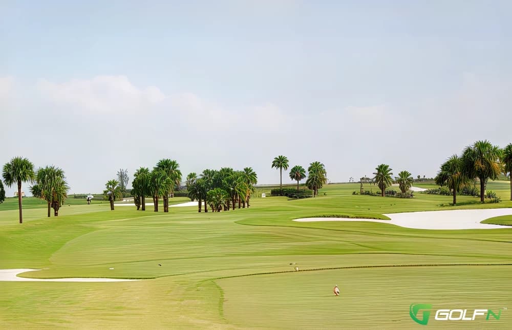 Ashley Meadows - The Nancy Lopez Legacy Country Club in The Villages, Florida — semi-private, 27-hole golf course, designed by Clifton, Ezell & Clifton (2007)