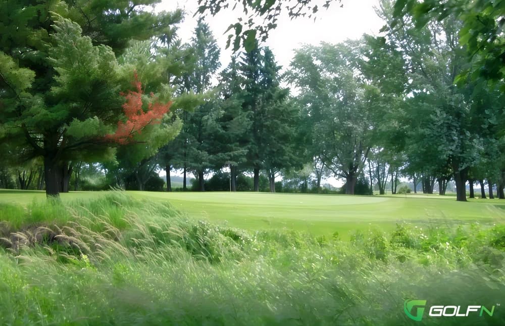 Black - Champions Nest in Edwards, Ontario — public, 36-hole golf course